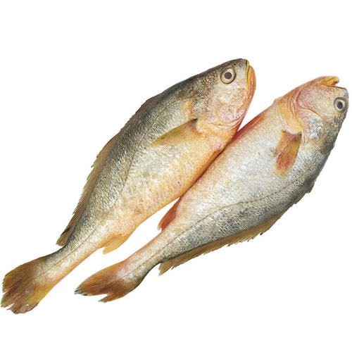 Balance de contrôle vérifiant les emballages de poisson surgelé avant la mise en carton
